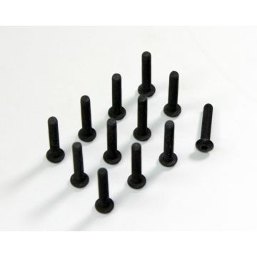 Absima Allen Head Screw Hm4X22 (12) AMT8 (AB1330036)