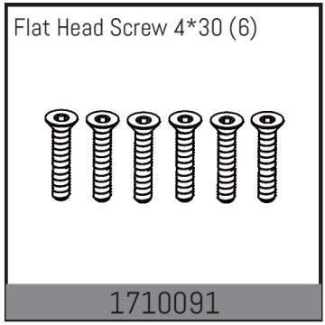 Absima Flat Head Screw 4*30 (6) (AB1710091)
