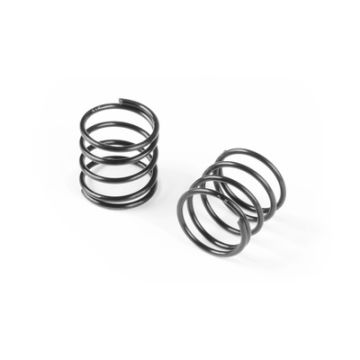Xray XLP Spring-Set C=2.5 (2) (XR308175)