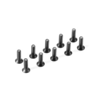 Xray Hex Screw Sfh M4X14  (10) (XR903414)