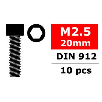 Corally Steel Screws M2. 5 X 20mm Hex Socket Head 10 (C-3001-25-20)