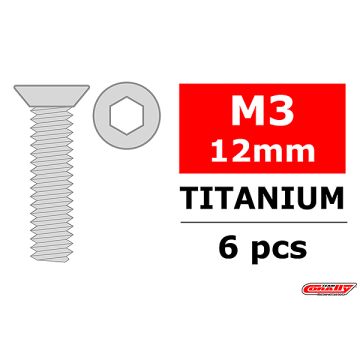 Corally Titanium Screws M3 X 12 mm Hex Flat Head 6 Pc (C-3022-30-12)