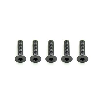 Core RC Alloy Csk Hex Screws M3 x 12 pk10 (CR313)