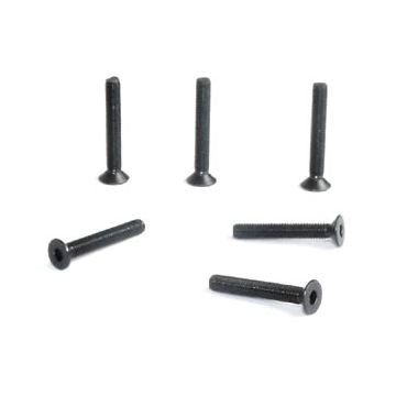 FTX Flat Head Hex 6pcs M3*20 (FTX6540)