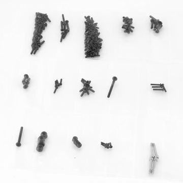 FTX Outback Mini XP Evo Van Screw Set (FTX9354V)