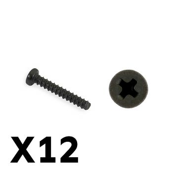 FTX Tracer Pan Head Self Tapping Screws PHB02*12mm (FTX9755)