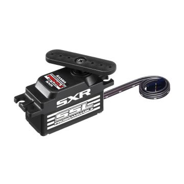 Sanwa PGS-CL2 Servo (SA107A54516A)