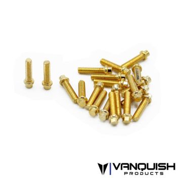 Vanquish M2x8mm Forged Scale Steel GR8 (20) (VPS01712)