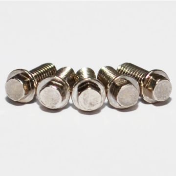 RC4WD Miniature Scale Hex Bolts (M2.5 X 6mm) (Silver) (Z-S0663)