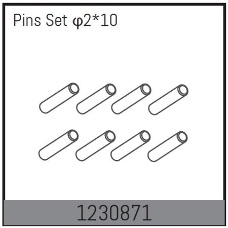 Absima 2*10 Pin Set (10) (AB1230871)