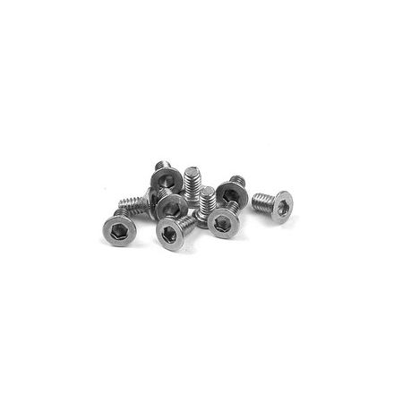 Xray Hex Screw Sfh M2X4 - Stainless  (10) (XR903204)