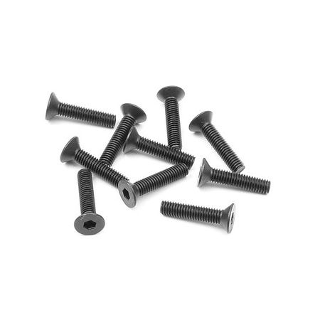 Xray Hex Screw Sfh M3X14  (10) (XR903314)