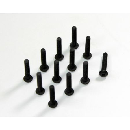 Absima Allen Head Screw HM4x22 (12) AMT8