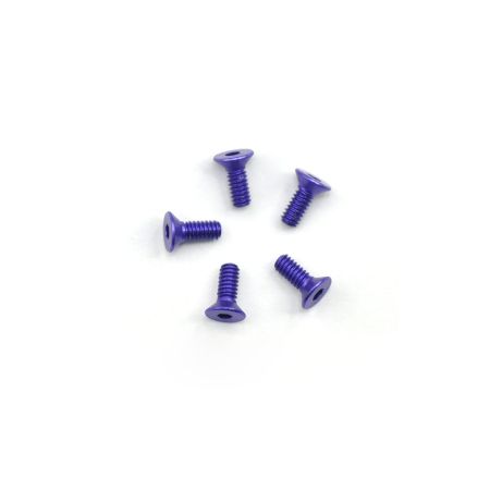 Arrowmax Alu Screw Allen Csk M2.2 x 6 Purple (5) (AM14CS2206P)