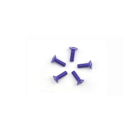 Arrowmax Alu Screw Allen Csk M2.5 x 8 Purple (5) (AM14CS2508P)