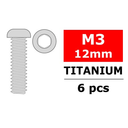 Corally Titanium Screws M3 X 12mm Hex Button Head 6 (C-3023-30-12)
