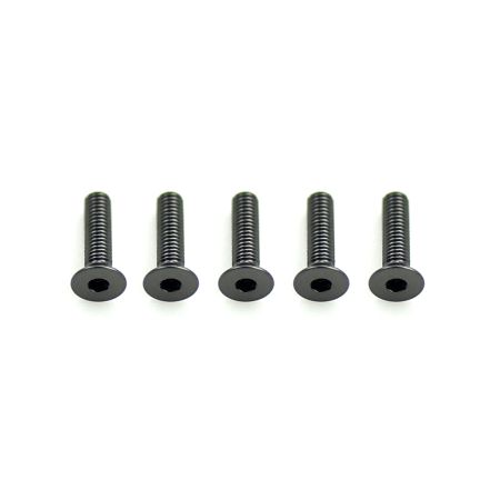 Core RC Alloy Csk Hex Screws M3 x 12 pk10 (CR313)
