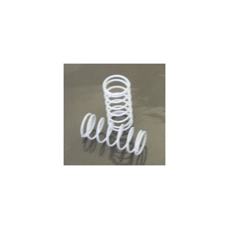 FTX Fr/Rr Shock Springs White (2) (Rampage/Outrage)
