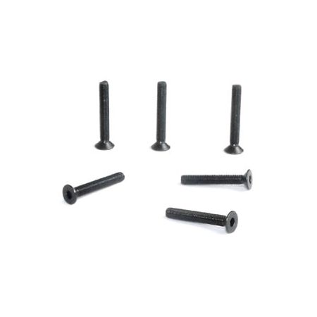 FTX Flat Head Hex 6pcs M3*20 (FTX6540)