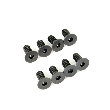 FTX Zorro Flat Head Hex Screw M4X10mm Self Tapping (6pcs) (FTX6961)