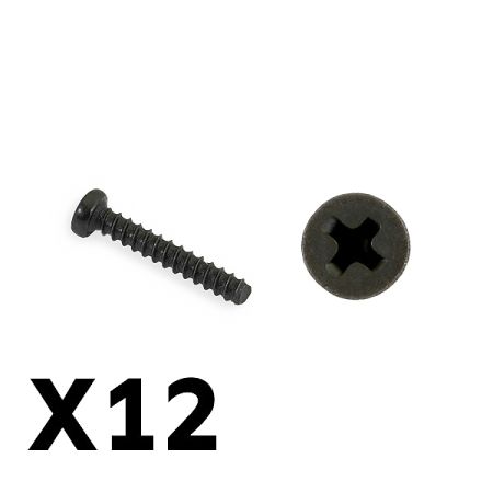 FTX Tracer Pan Head Self Tapping Screws Pbho2*12mm (FTX9755)