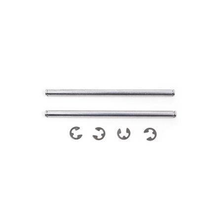 RPM RC10 Inside Rear Hinge Pins