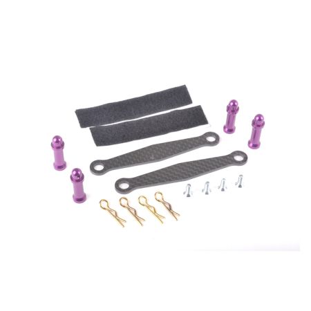Schumacher Purple Alloy Battery Posts and C/F Straps