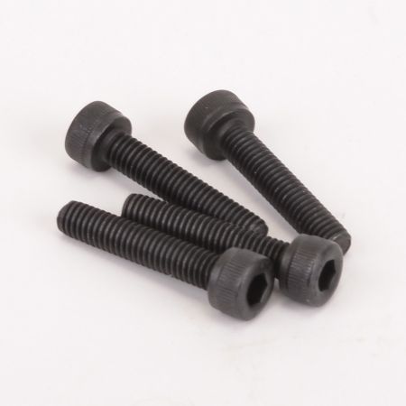 Schumacher SPEED PACK - M4x20 Cap Hd (4 pcs)