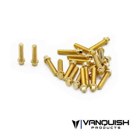 Vanquish M2x8mm Forged Scale Steel GR8 (20) (VPS01712)